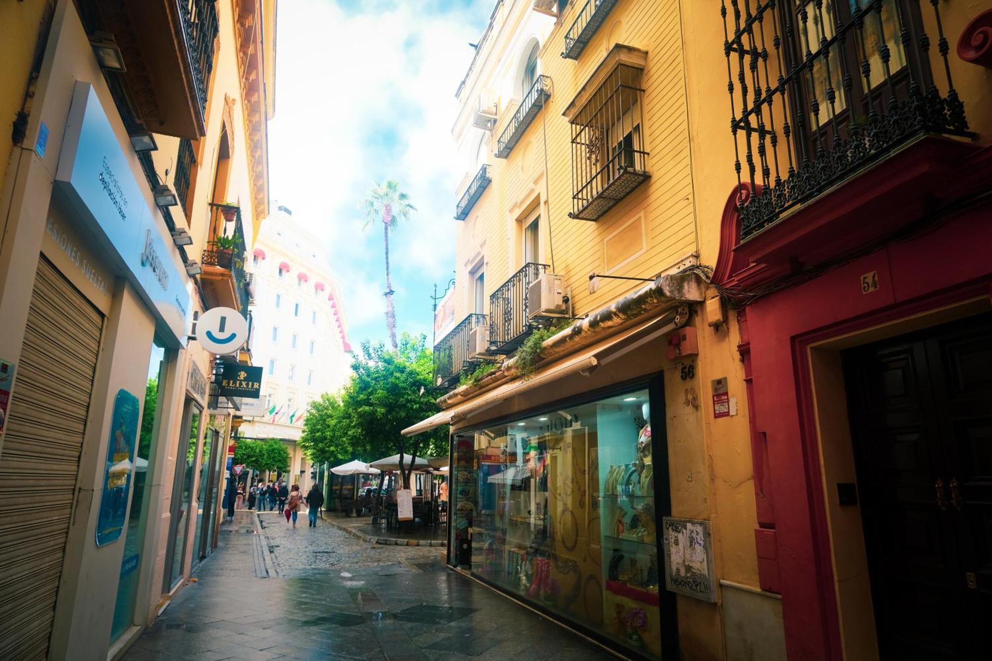 Apartment San Roque *